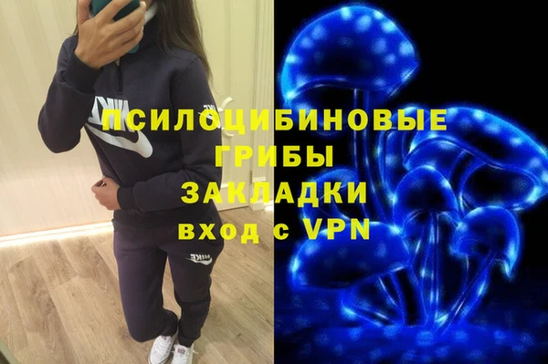 дмт Абаза