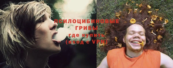 дмт Абаза